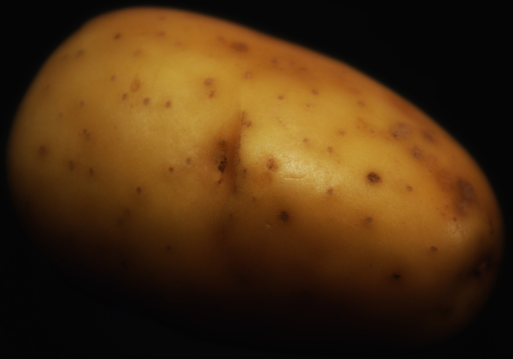 Potatoes Are NOT As Bad As You Think